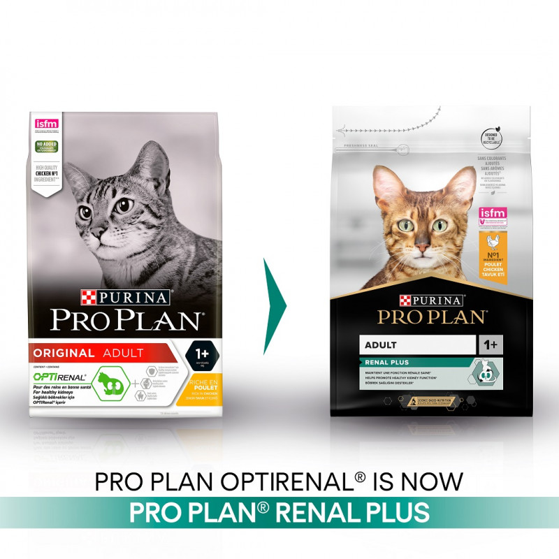 Pro Plan 1,5 Kg Renal Plus Tavuk | Yetişkin Kuru Kedi Maması